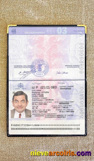 Georgia passport version 2 photolook